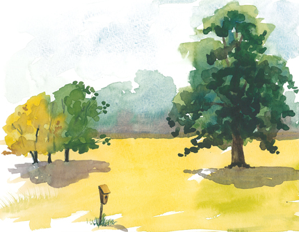 20150712_active_nestbox_mort_arb_web