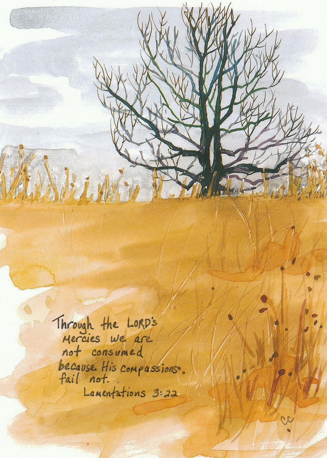 Not_consumed_Lam3_22