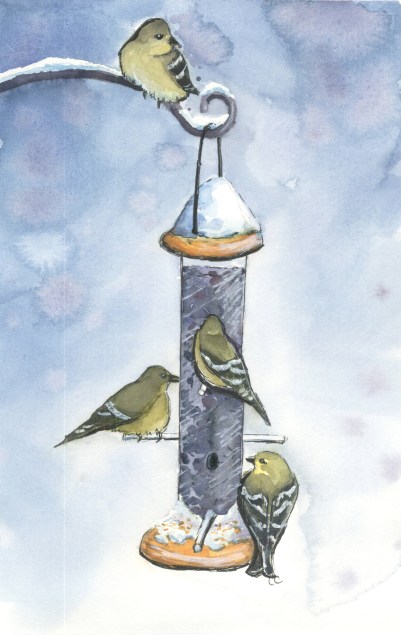 2016_12_18_winter_goldfinches_at_feeder