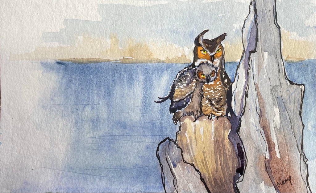 Watercolor of baby and momma great horned owl