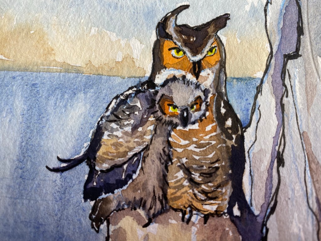 close-up of baby and momma great horned owls 